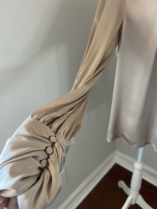 White House Black Market Taupe/Beige Tie-Neck Blouse - Picture 5 of 10